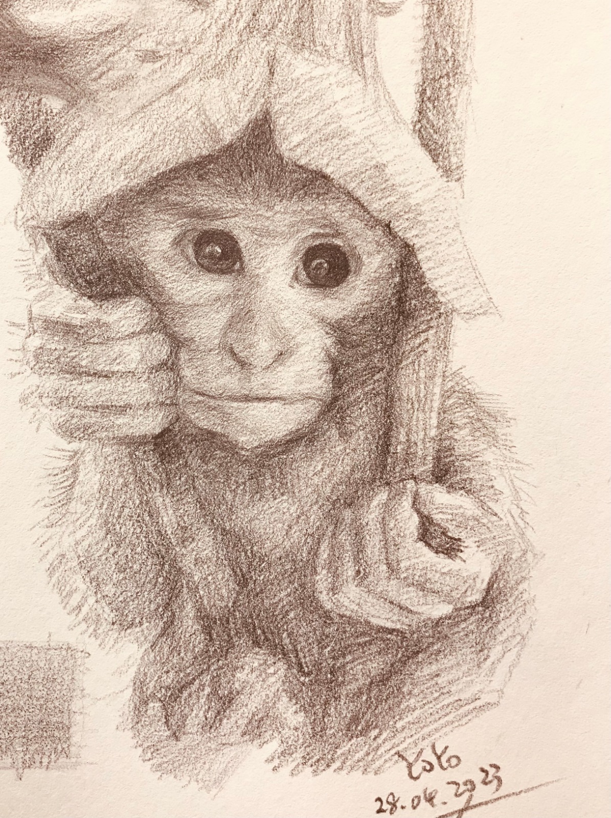 Dieren tekenen met Yoyo