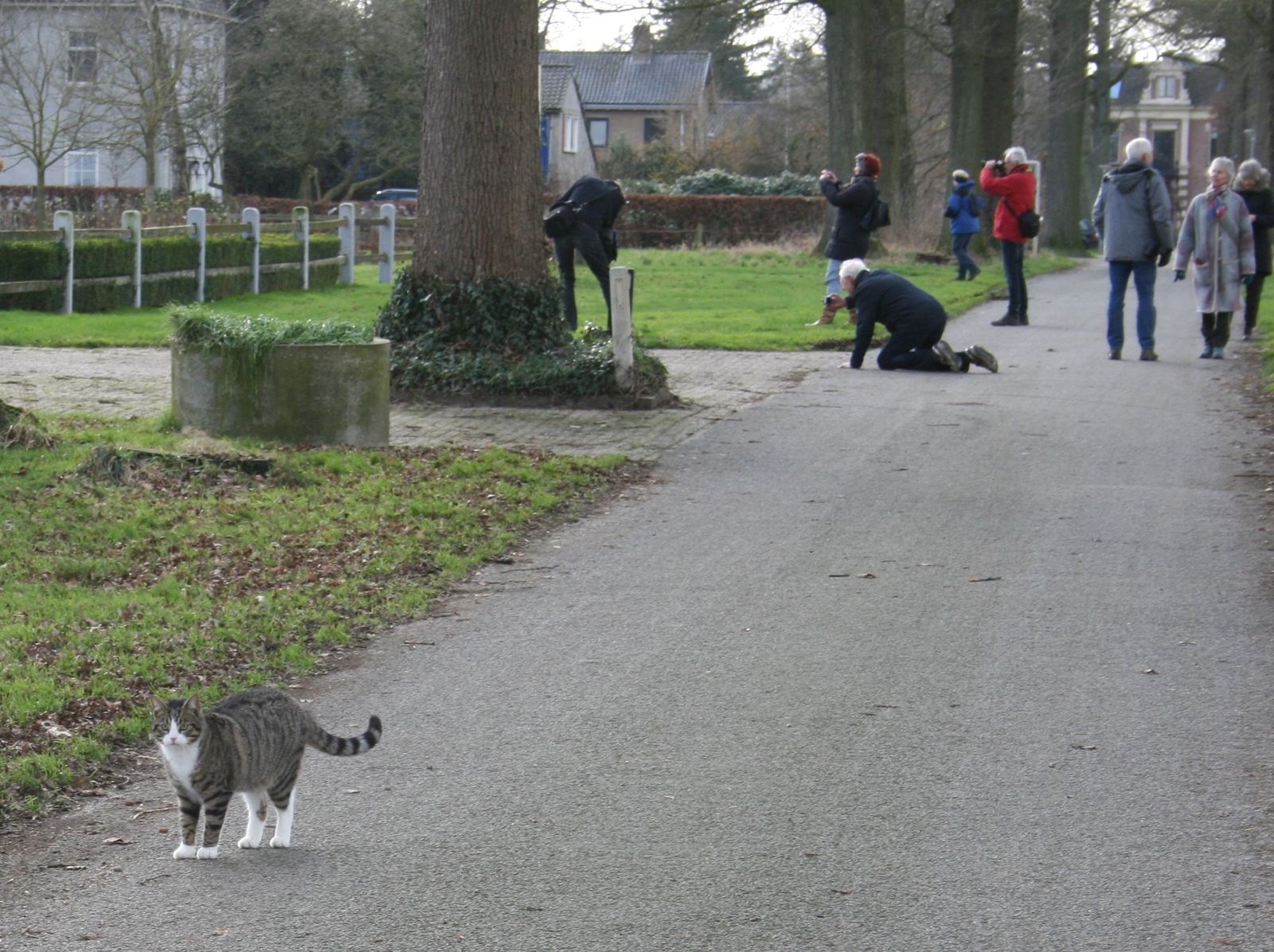Kunst door de lens foto Marijke Cornelissen
