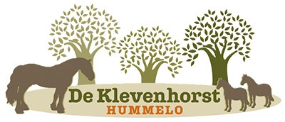 deklevenhorst-logo deklevenhorst